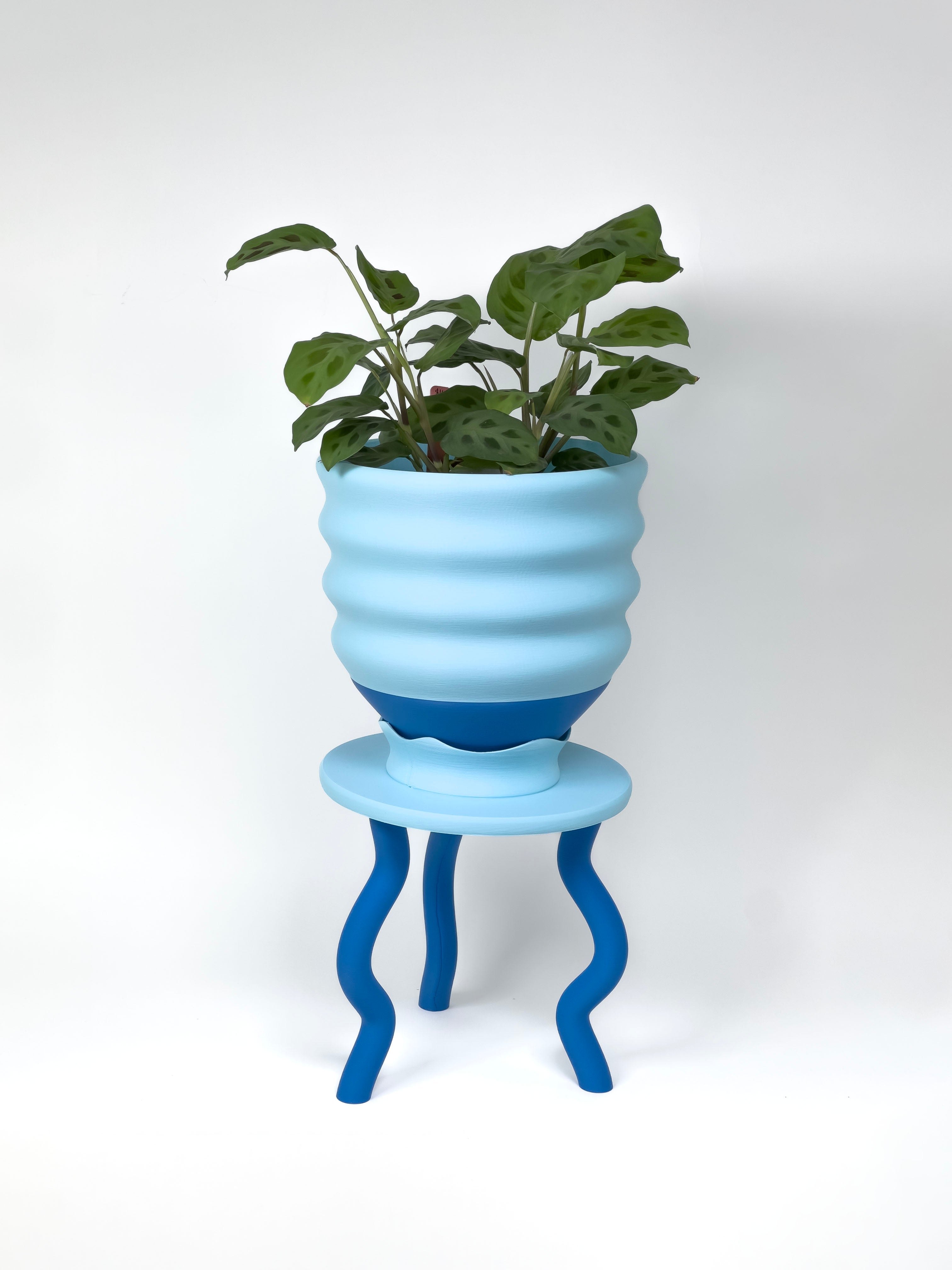 Planter Gift Set Savings Bundle!