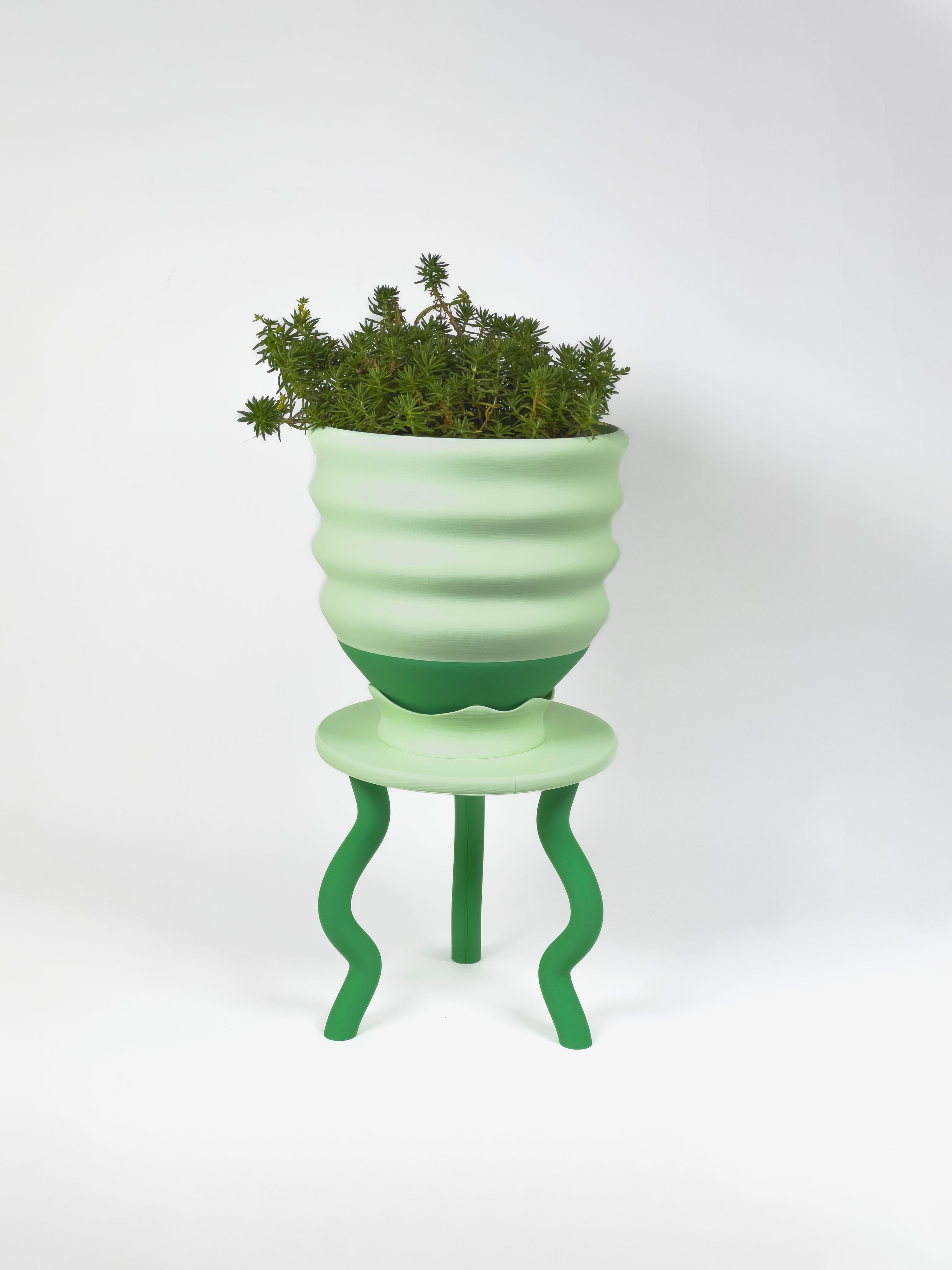 Planter Gift Set Savings Bundle!