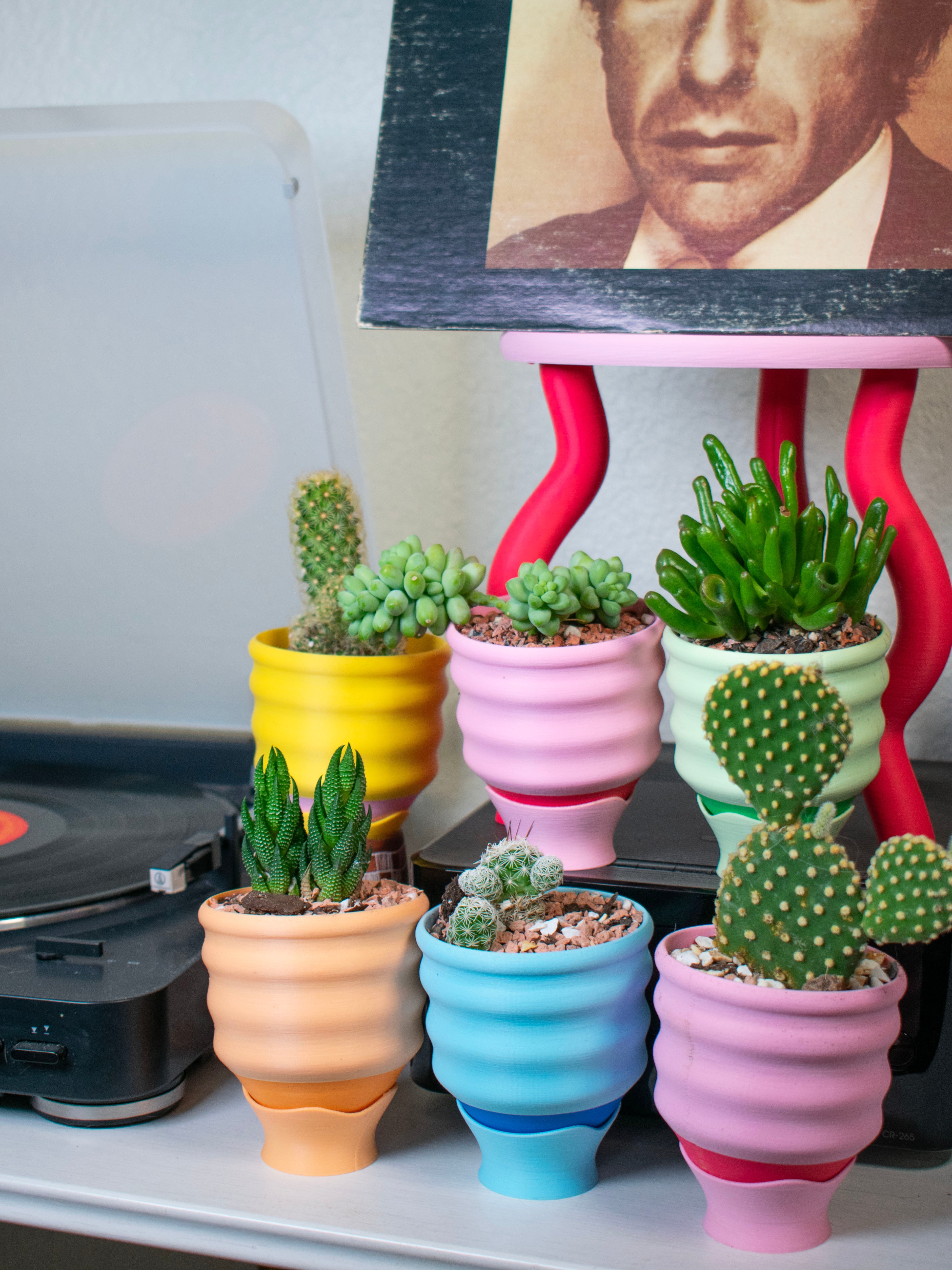 3" Wiggle Cup Planters!