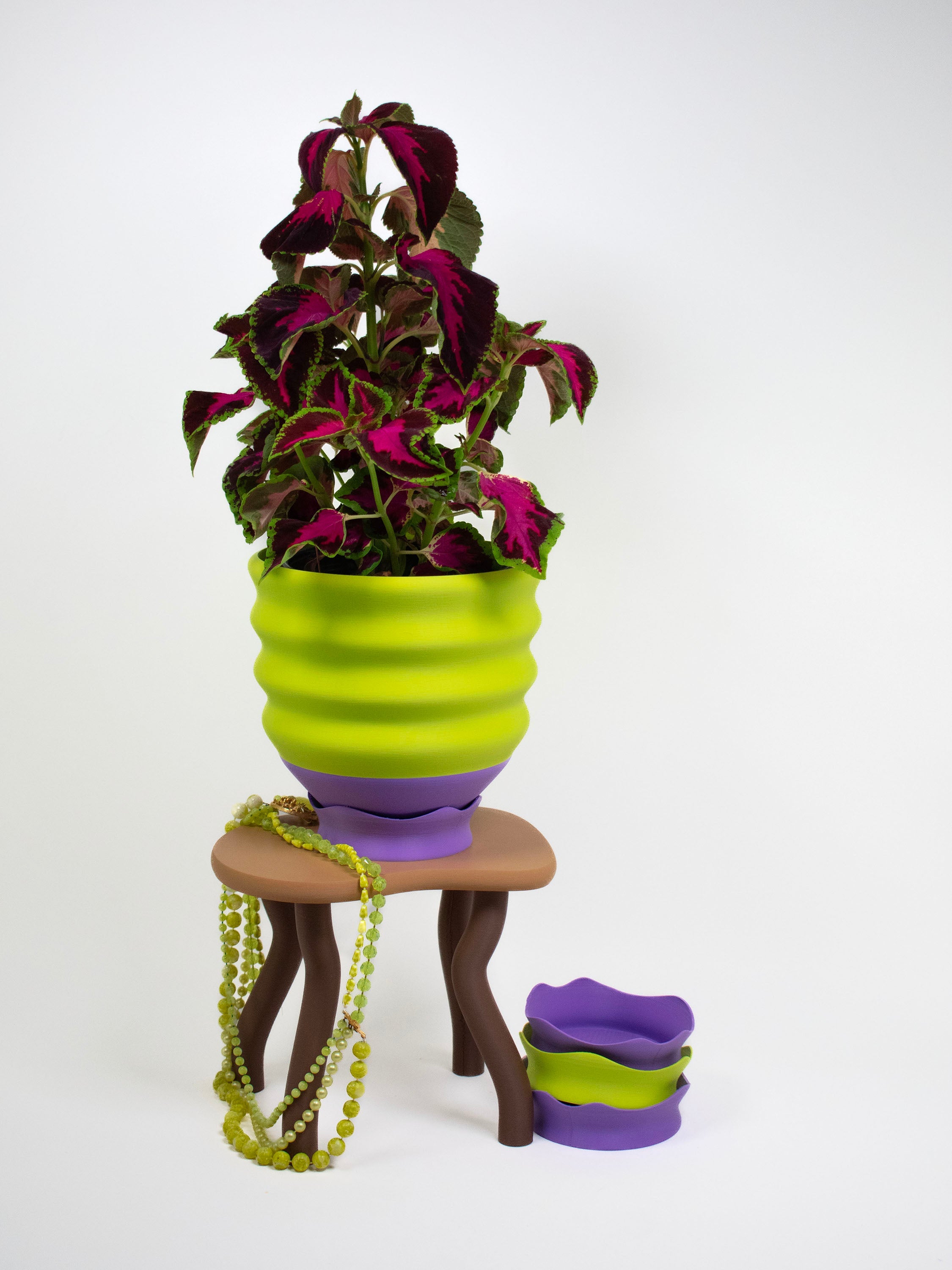 The Biggle Planter for 7" Plants