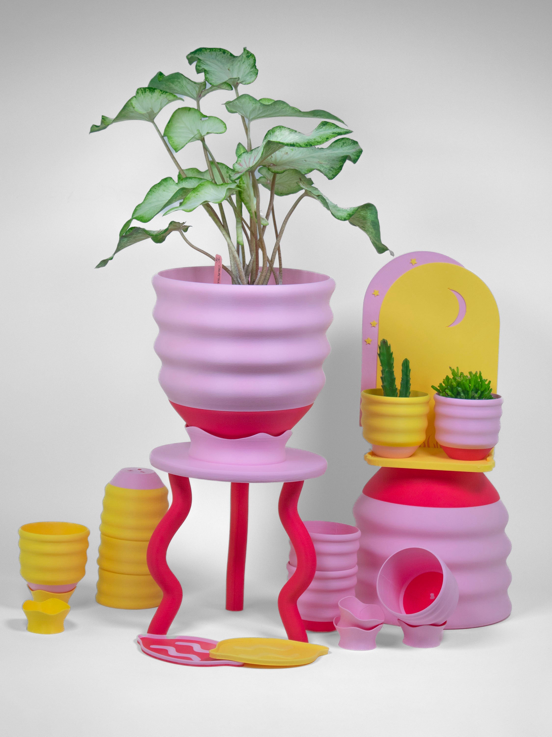 Planter Gift Set Savings Bundle!